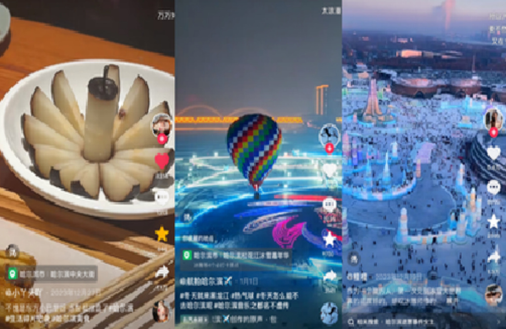 2024短视频蓝皮书发布：短视频发展新格局与新趋势(图10)