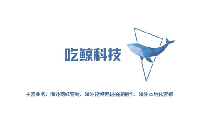 别让预算打水漂！品牌如何规避海外红人营销的陷阱？(图3)