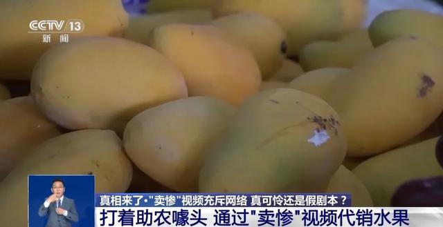 卖惨的“单亲爸爸”竟有一个完整家庭？起底网络“卖惨”营销产业链运作套路(图5)