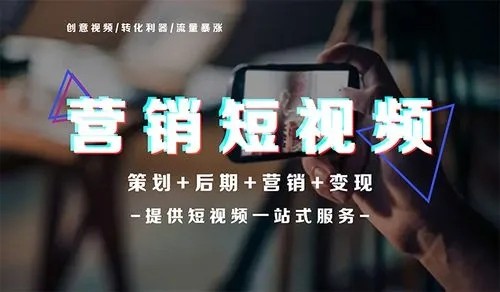 电商运营：2025年02月短视频及直播电商营销月报(图1)