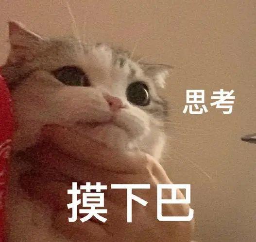 89岁奶奶被短视频劝自杀——假新闻堪比毒奶家有老人和娃要注意(图20)