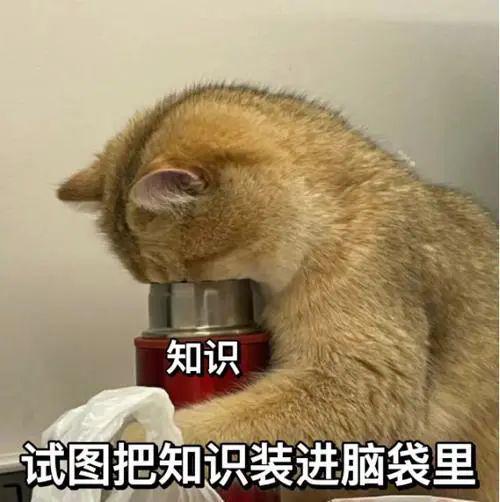 89岁奶奶被短视频劝自杀——假新闻堪比毒奶家有老人和娃要注意(图16)