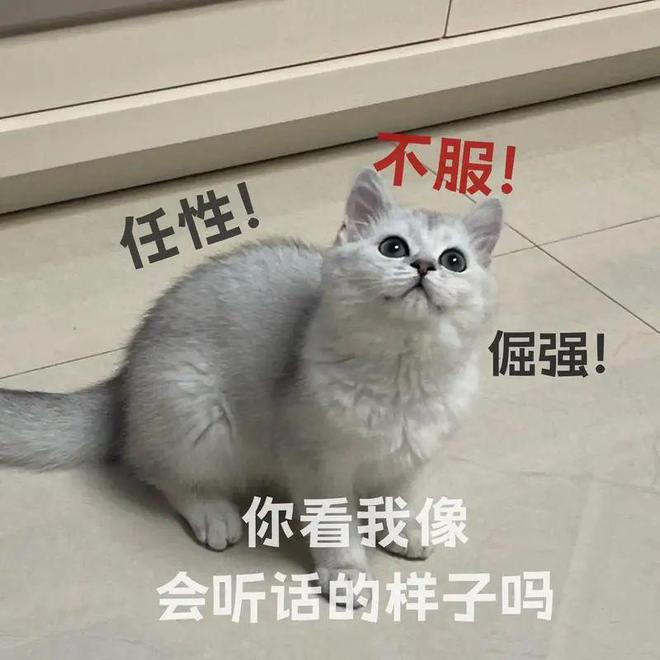 89岁奶奶被短视频劝自杀——假新闻堪比毒奶家有老人和娃要注意(图18)