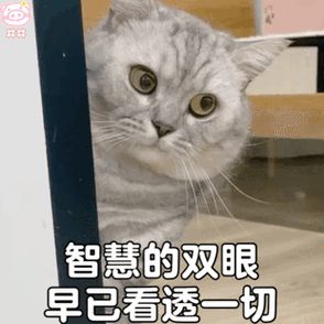 89岁奶奶被短视频劝自杀——假新闻堪比毒奶家有老人和娃要注意(图22)