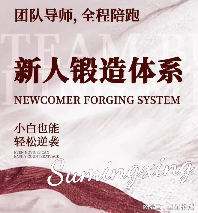 短视频爆款秘诀！塑明星流量大会4大策略解锁实体增长(图2)