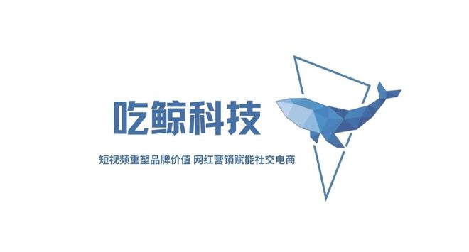 Influencer Agency行业白皮书：2025年变革与新机遇探索(图3)