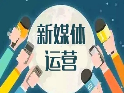 新媒体营销：驱动企业增长的数字化引擎(图1)