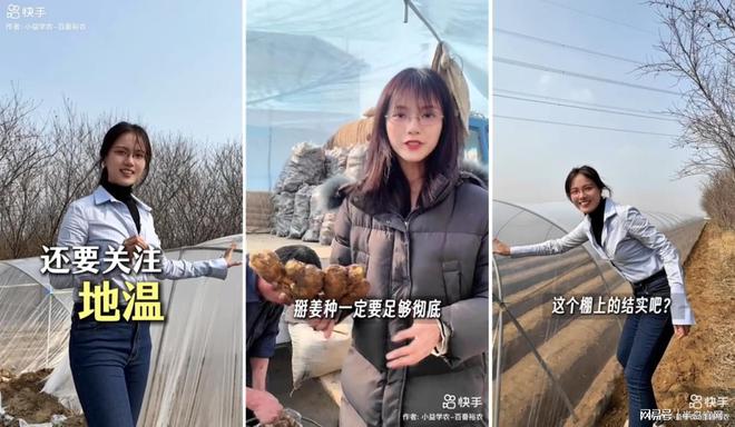 当手机成为“新农具”“蔬菜之乡”的新农人在快手点亮云上课堂(图1)