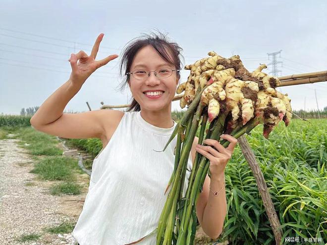 当手机成为“新农具”“蔬菜之乡”的新农人在快手点亮云上课堂(图3)