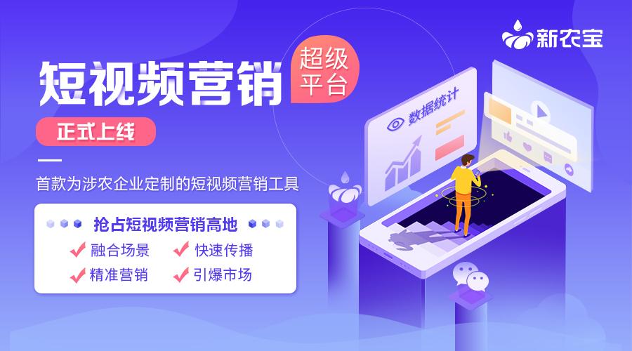 自媒体营销现状分析与未来趋势探讨