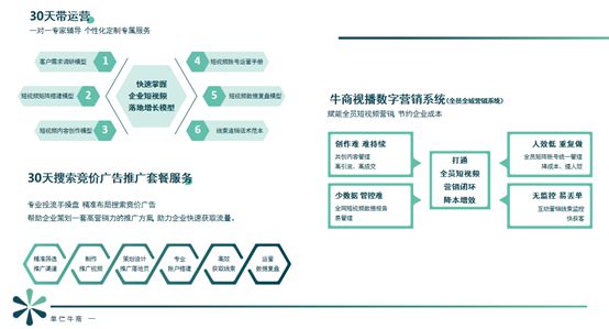 2025年[最新]“企业短视频课程+AI营销”单仁牛商引领新趋势(图2)