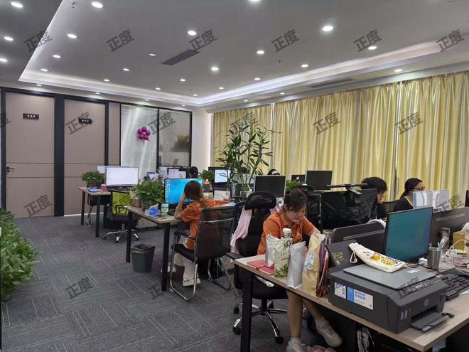 2025东莞比较好的网络公司推正度助力线上营销高效落地